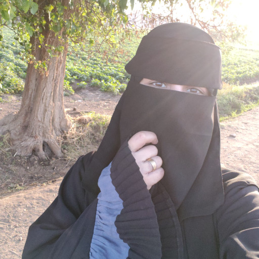 صورة المعلم