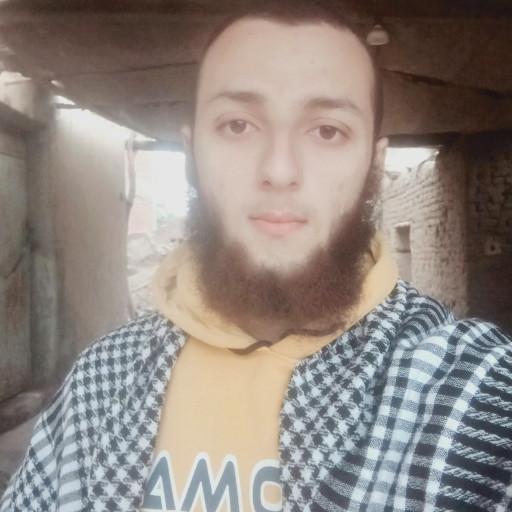 محمود عماد أحمد غريب