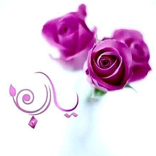 رانيا ابراهيم عبدالمحسن محمد