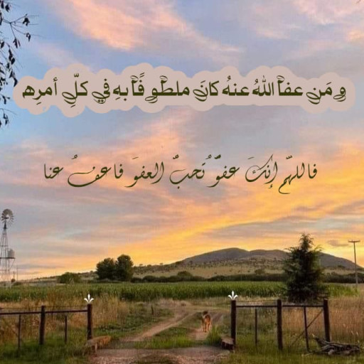 آيه محمود عبدالله