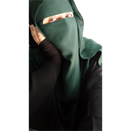 صورة المعلم