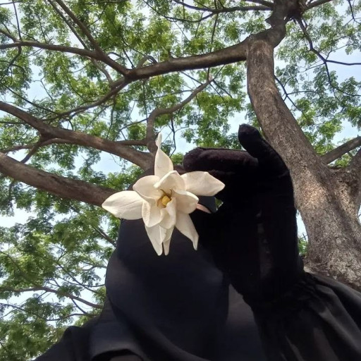 صورة المعلم